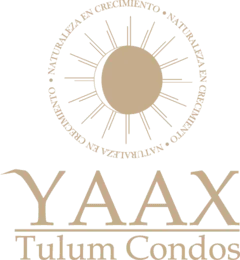 Yaax